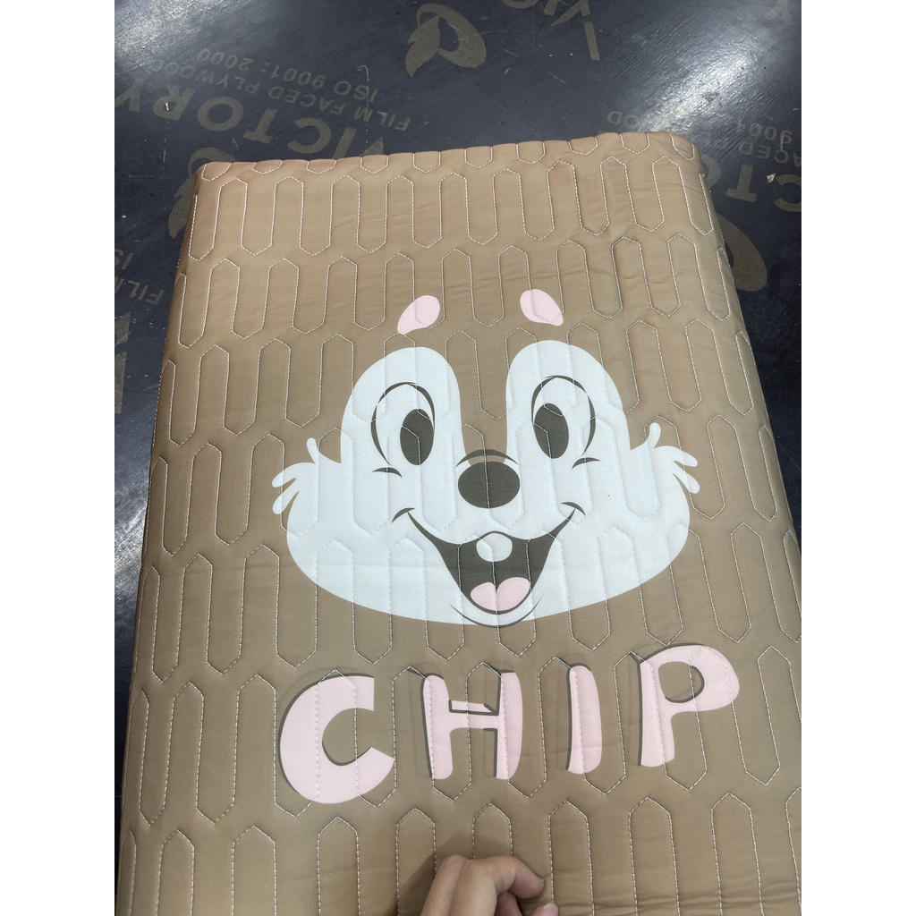 Xả sốc sét 5 món chiếu cao su 5d bọc chun kèm chăn cao cấp,chiếu điều hòa bo chun bọc đệm gồm 5 món