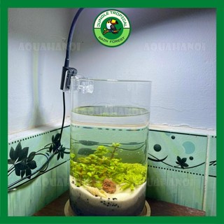 Đèn led rọi bể cá thủy sinh mini Coco JY-25