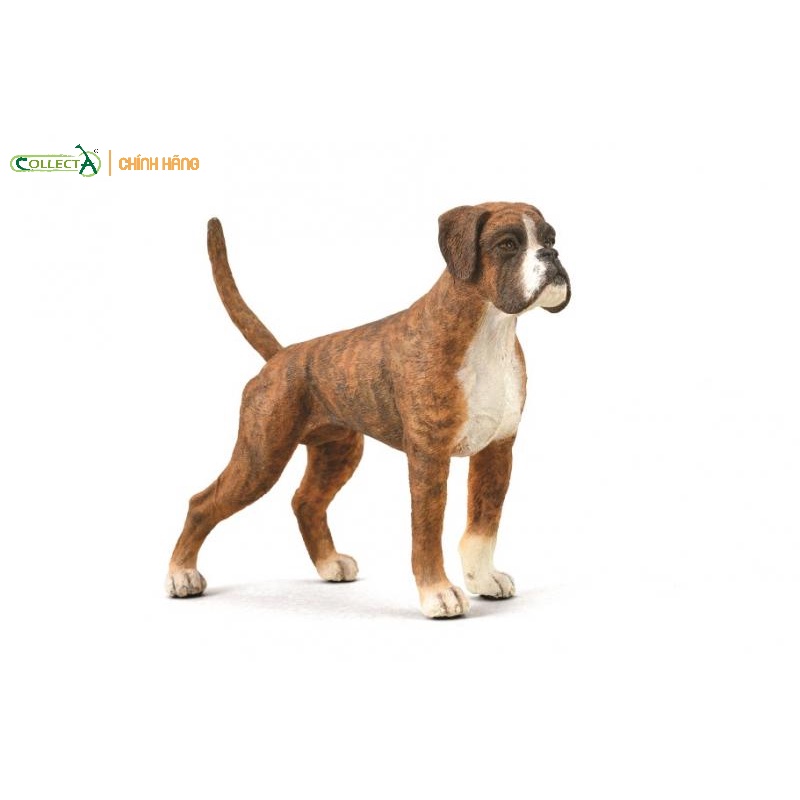 Mô hình động vật - Chó Boxer