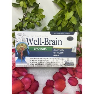 Hoạt huyết dưỡng não - Well Brain - Hỗ trợ hoạt huyết, tăng cường tuần hoàn máu não - Hộp 30v