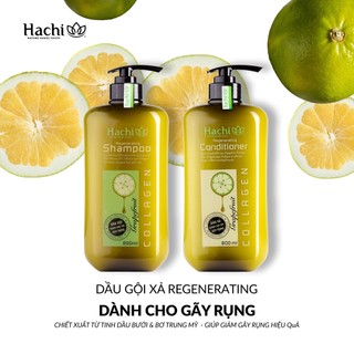 CẶP DẦU GỘI XẢ HACHI DÀNH CHO TÓC RỤNG CHIẾT XUẤT BƯỞI BƠ NGĂN RỤNG TÓC, LÀM MƯỢT TÓC