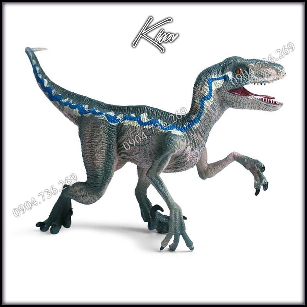 Mô hình khủng long Velociraptor sọc xanh dương trong phim Jurassic World quà tặng ý nghĩa cho trẻ nhỏ