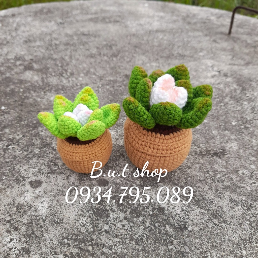 Chậu sen đá handmade mini - được làm từ len sợi