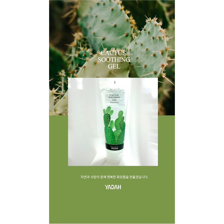 Gel Dưỡng Ẩm Chiết Xuất Xương Rồng Cactus Soothing Gel Yadah 250ml