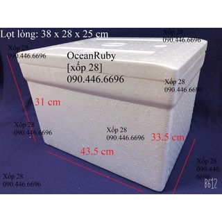 thùng xốp HS5 27 lít [ khoảng 5 kg ] đựng đá hải sản hoa quả đựng đồ trồng cây nuôi cá [Hộp xốp]