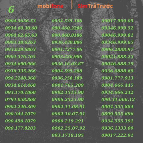 Sim trả trước mobifone số đẹp đầu 09, sim tài lộc, mãi phát tài,thần tài. đăng ký đuơc các gói cước c120 và gói DTHN.