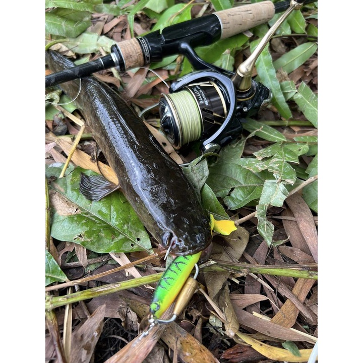 Combo Mồi Mềm NFF 4 Màu Kèm Lưỡi AR15, lưỡi mồi mềm AR15, Mồi mềm NFF