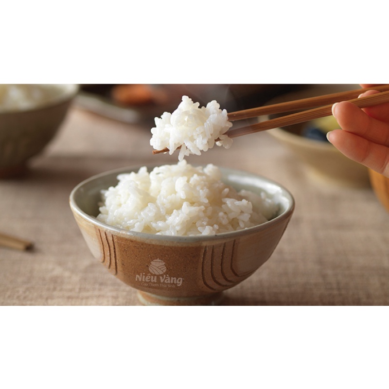 Gạo Lài Nhật VJA - Japonica Túi 10kg thơm ngon thượng hạng | BigBuy360 - bigbuy360.vn
