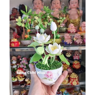 Chậu hoa sen bằng đất sét Nhật 20cm