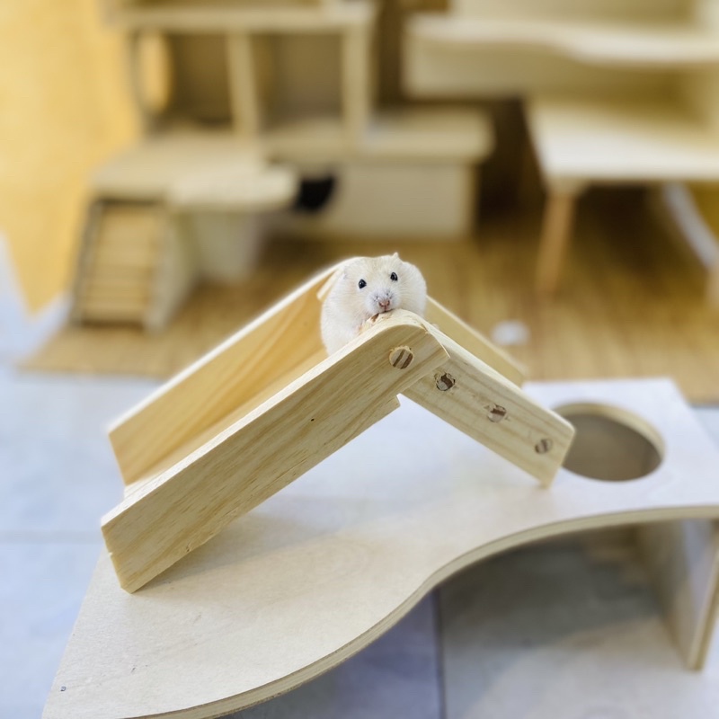 Thang gập gỗ thông cho hamster, sóc