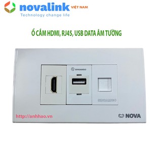 Ổ cắm HDMI+ RJ45 +USB âm tường - Wallplate hdmi, RJ45, USB âm tường [ảnh thật]