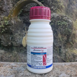 Trừ bệnh Amistar Top 325SC 250ml [CHÍNH HÃNG SYNGENTA] trừ lem lép, đốm vằn trên lúa