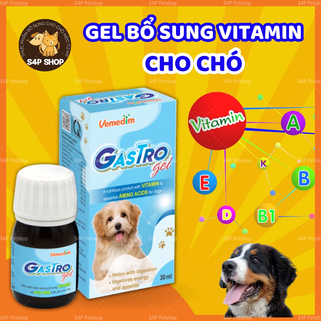 Gastro Gel hỗ trợ tiêu hóa kích thích thèm ăn, bổ sung vitamin dưỡng chất hàng ngày, tăng đề kháng cho chó mèo