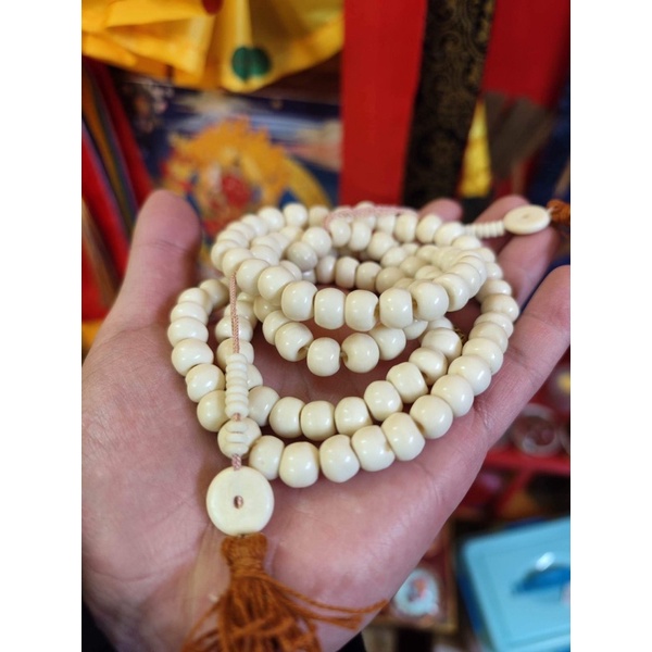 Chuỗi xươn g trâu Yak Tây Tạng