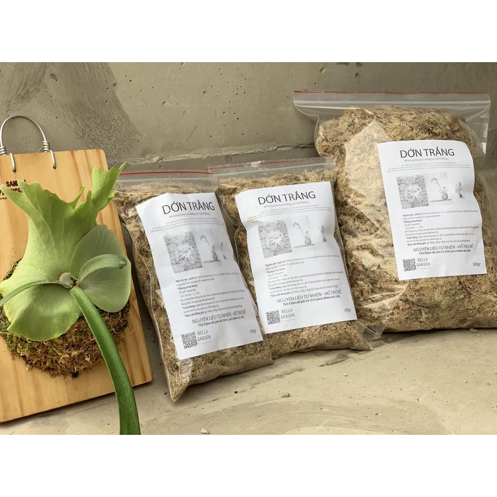 DỚN TRẮNG mới 100% (Sphagnum Moss)