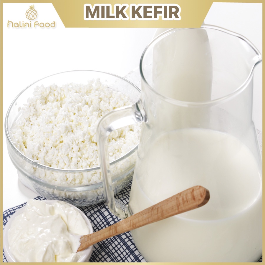 Nấm sữa Kefir làm sữa chua hỗ trợ tiêu hóa khỏe mạnh - Milk kefir 5g