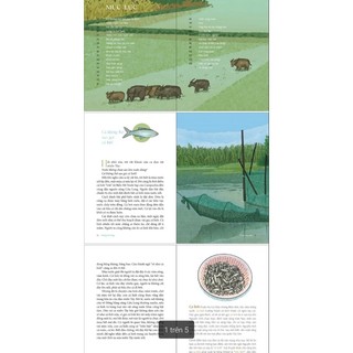 Sách - Sống cùng nước