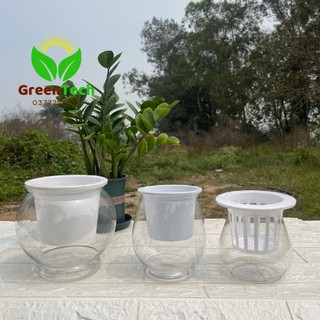 1 Chậu Nhựa Trồng Cây Thủy Sinh - Chậu Giả Thủy Tinh Trồng Thủy Sinh