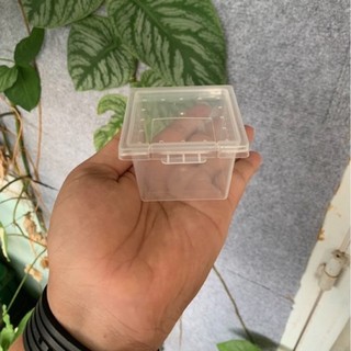 Hộp nuôi nhện, sling côn trùng size nhỏ gina garden