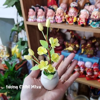 Chậu hoa mai 5 cánh bằng đất sét Nhật cao cấp