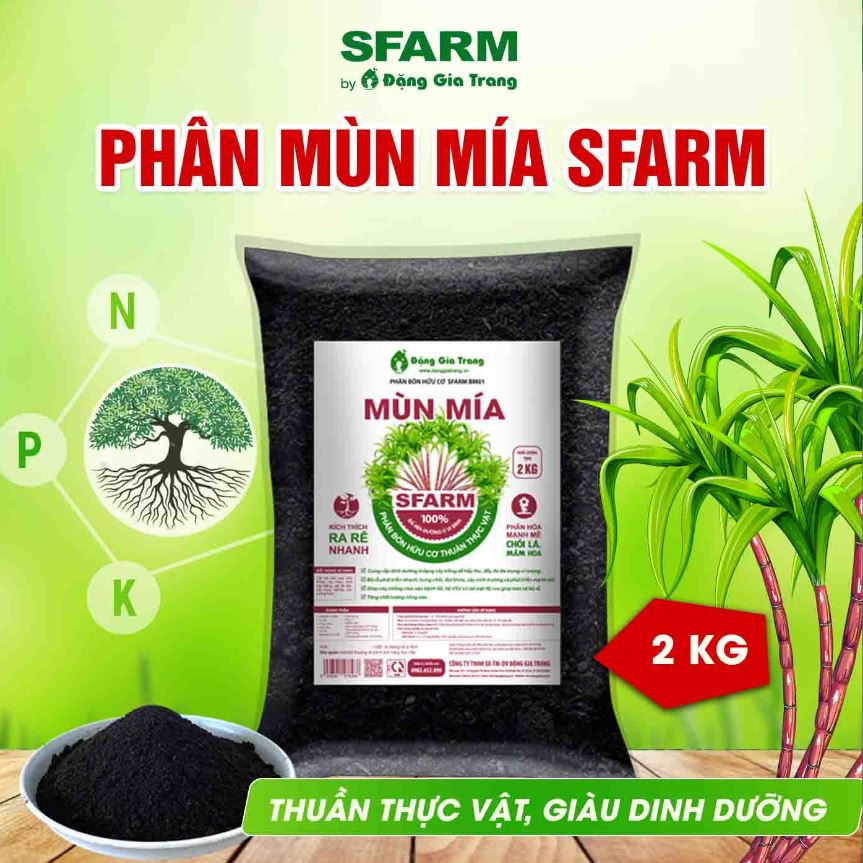 Phân mùn mía SFARM ủ vi sinh ! SX từ thực vật (bả mía) ! Bao 2kg !