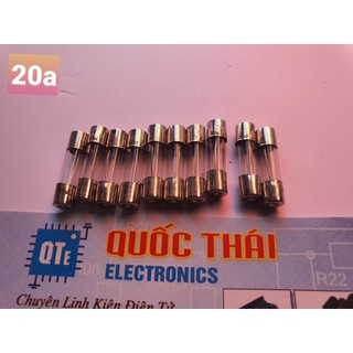 Combo 10 cầu chì 20 a kích thước 5x20mm