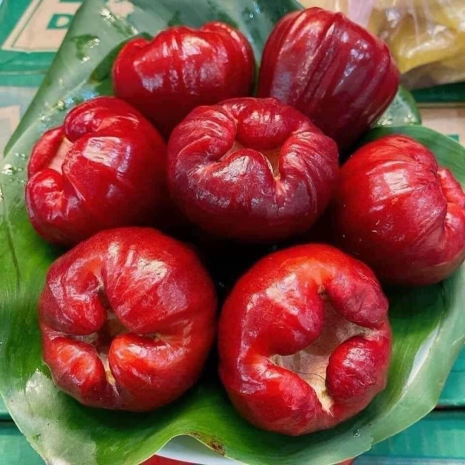 1 kg roi đỏ An Phước - Ship hoả tốc Hà Nội
