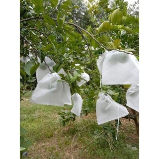 10 túi bọc bưởi 30x35