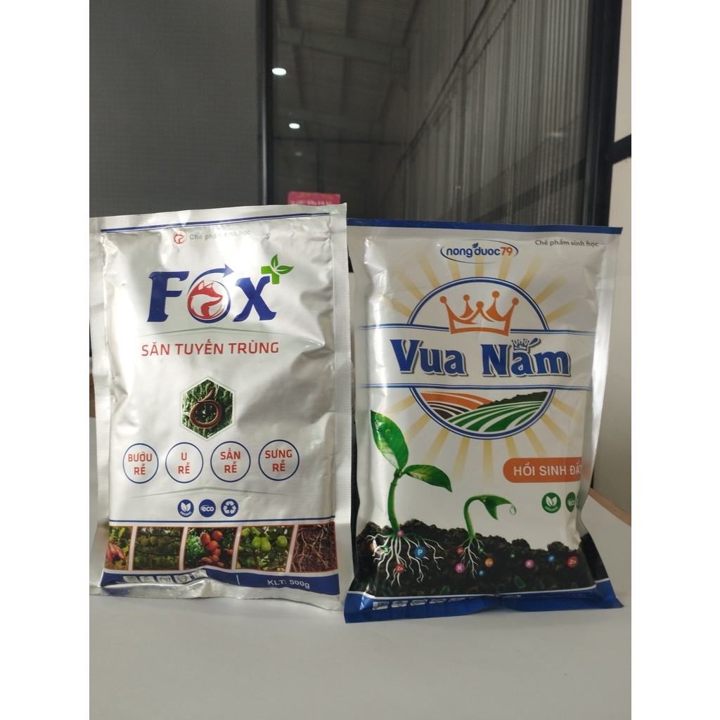 Xử Lý, Ngăn Chặn Bệnh Chết Cây Con, Lở Cổ Rễ, Thối Rễ, Vàng Lá, Héo Rũ trên rau màu, dưa leo, cà chua,...