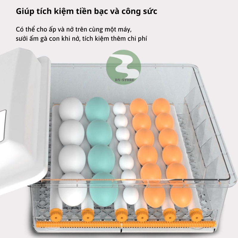 Máy ấp trứng mini thông minh tự đảo DN12-130 DN70