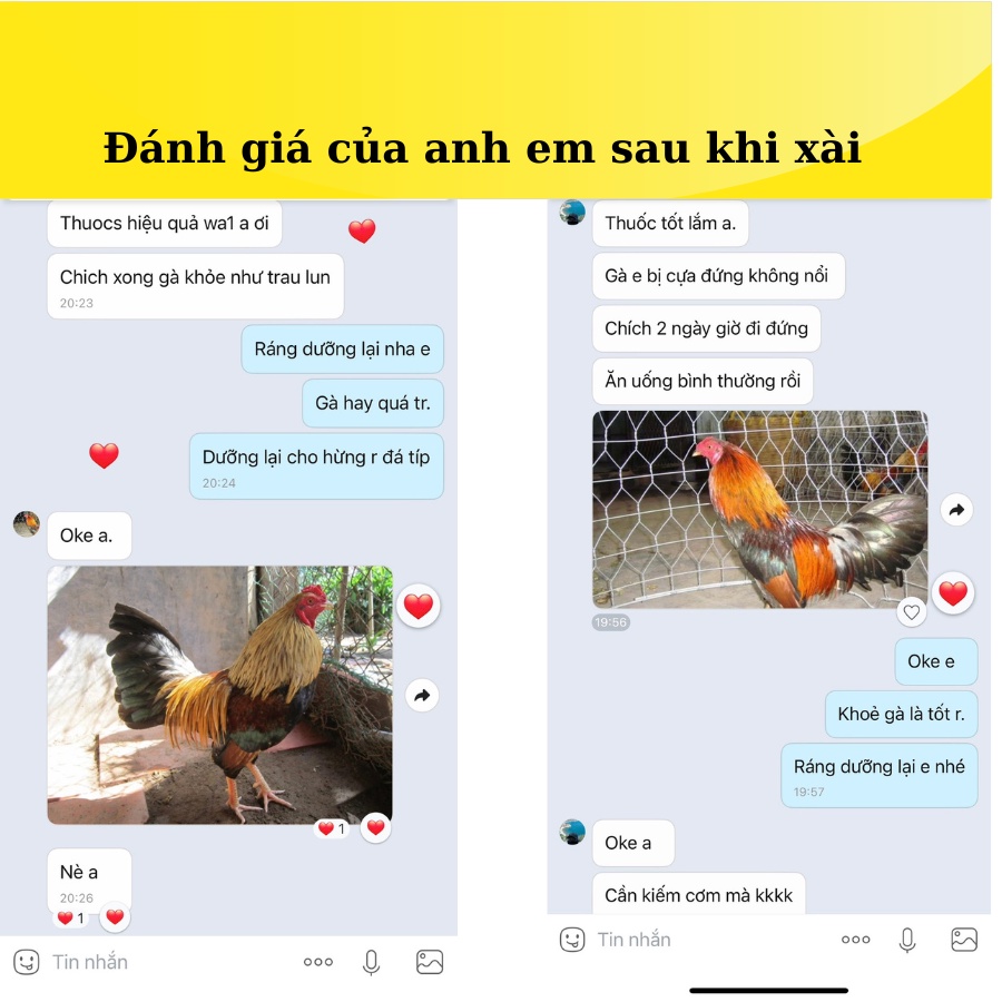 Trị tan gà đá, thuốc gà đá, SUPER GENTY,nhập philippin trị tan cựa, tan phù ké, nhiễm trùng, viêm phổi.