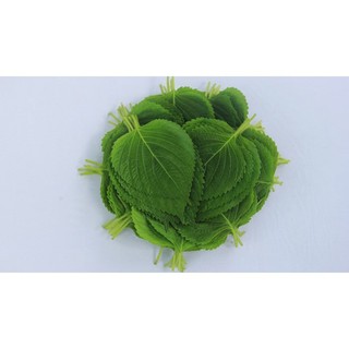 Hạt Giống Lá Mè Hàn Quốc (Vừng Hàn Quốc) (0.5Gr)