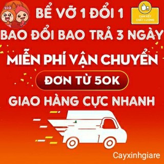 Cây thiết mộc lan mini