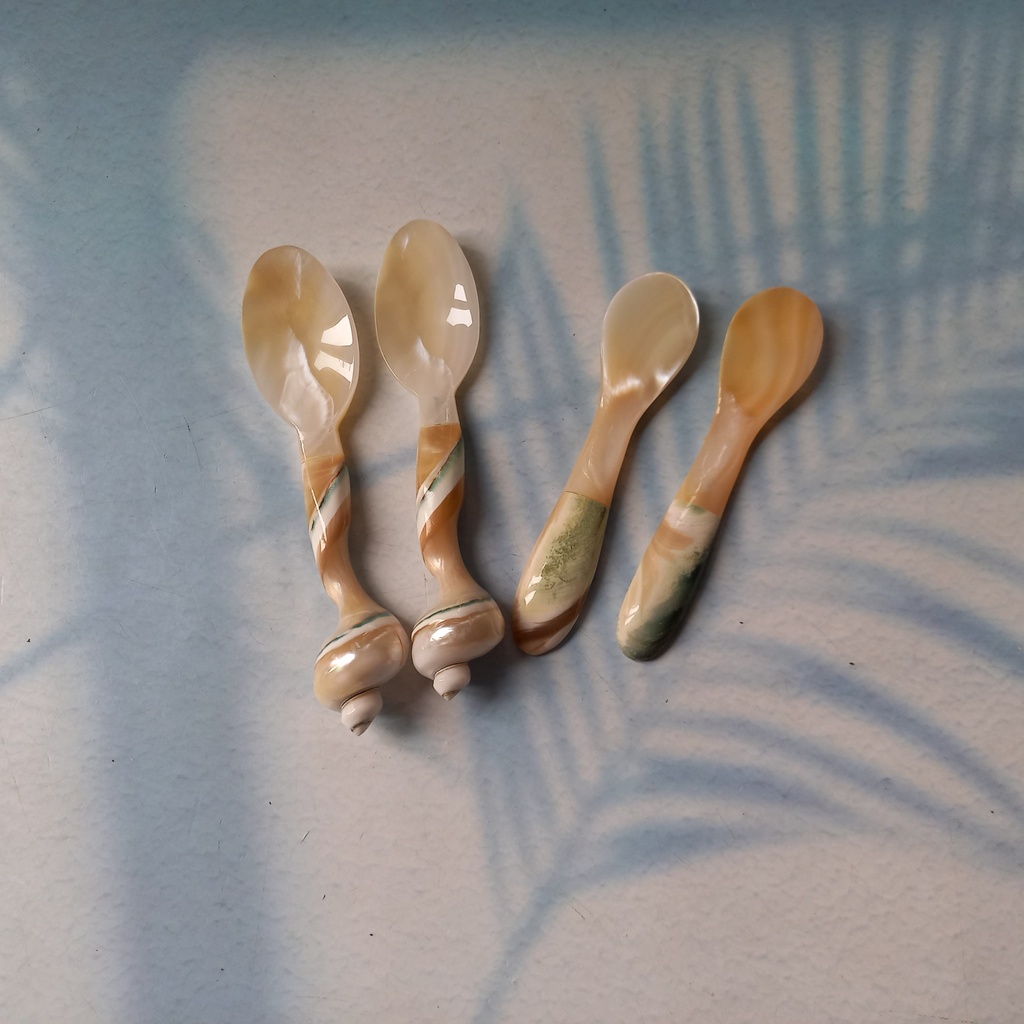 Thìa trai tự nhiên nhỏ xinh dùng uống trà cafe ăn trứng cá hồi chụp ảnh decor