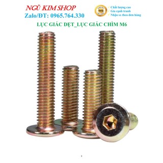 LỤC GIÁC DẸP _ BULONG LỤC GIÁC CHÌM M6 x L (mm)
