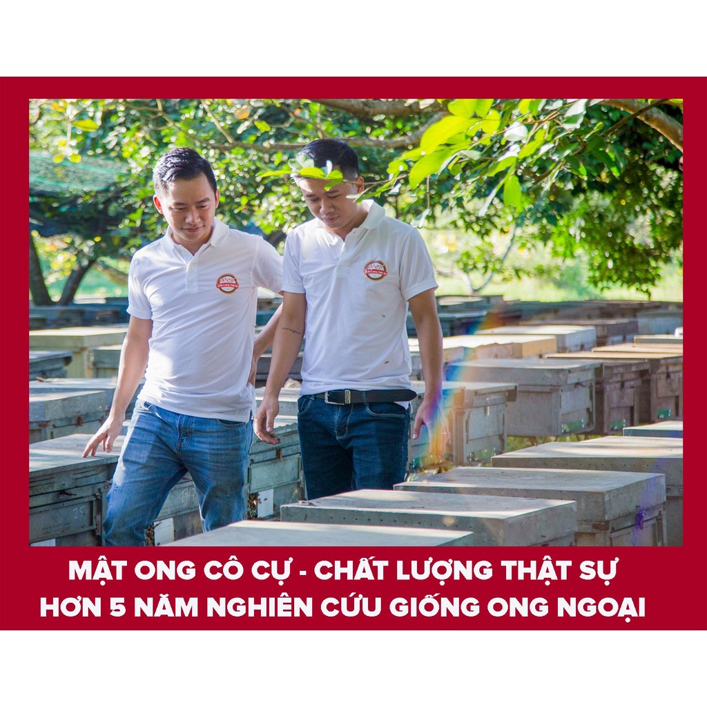 Mật ong hoa nhãn nguyên chất Cô Cự 10ml - chai nhựa