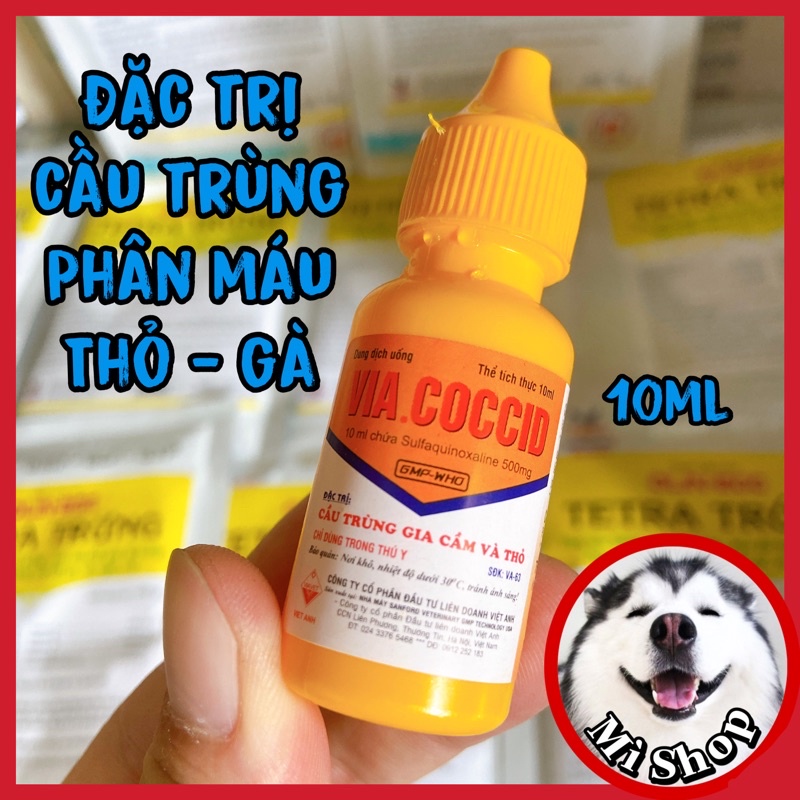 VIA COCCID gà đá, cho gà đá, thỏ bị cầu trùng