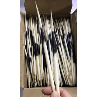 Lông nhím sẵn hàng trong kho (chỉ cần mua 5 sẽ tặng 1)