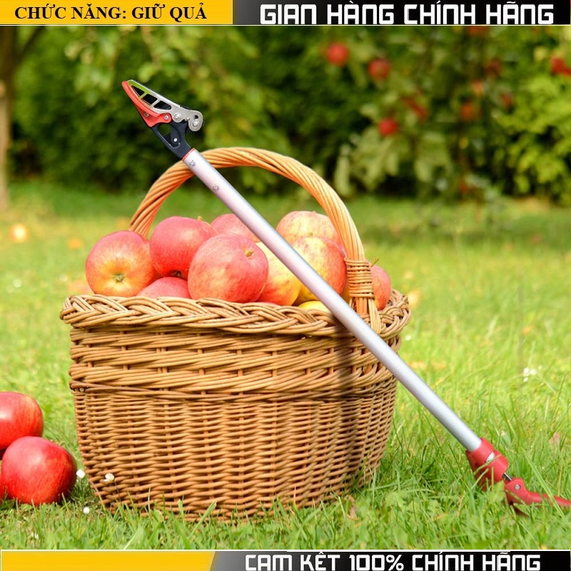 Kéo cắt cành trên cao, Kéo hái hoa quả trên cao 1 MÉT-1.5 MÉT-2 MÉT, Kéo cắt đa năng
