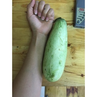 🥒 Hạt Giống Dưa Mèo,dưa HMông (2gói x 130 hạt)
