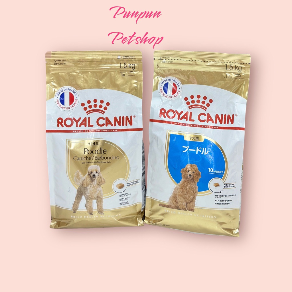 Hạt cho chó Poodle Royal Canin Poodle Puppy, Poodle Adult hạt dinh dưỡng cho bé - Punpun petshop