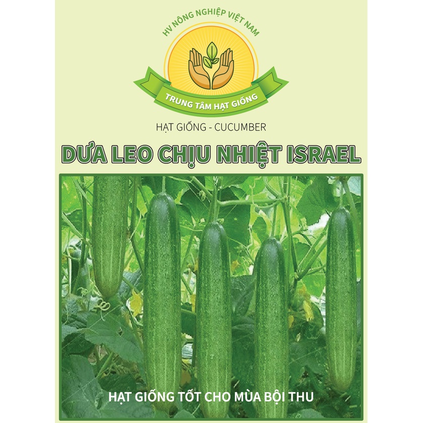 Hạt Giống Dưa Leo, Dưa Chuột Nếp Israel Chịu Nhiệt - Trung Tâm Hạt Giống HV Nông Nghiệp VN