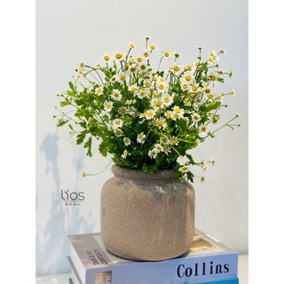 LiosHomeDecor - Bình gốm trang trí cắm hoa độc đáo - BINH163