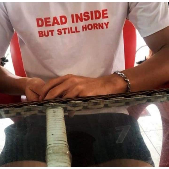 Áo thun tay lỡ unisex nam nữ DEAD INSIDE BUT STILL HORNY  cotton form rộng oversize