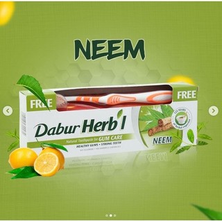 Kem đánh răng Dabur Herbal Neem 155g + Bàn chải