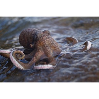 Mô hình động vật: Bạch Tuộc ( Chính hãng)