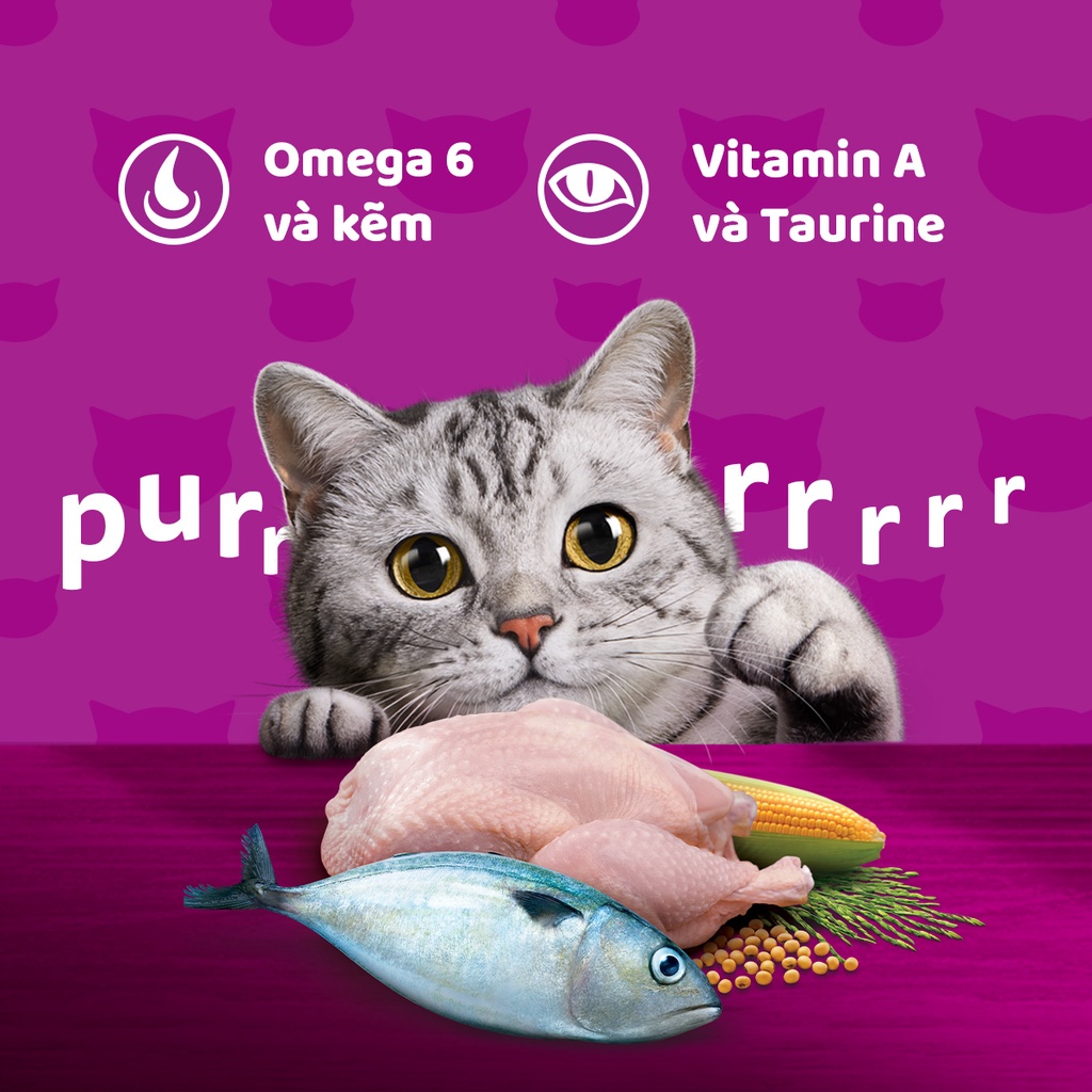 Bộ 2 túi thức ăn WHISKAS®  cho mèo con dạng hạt 1.1kg (2 túi)