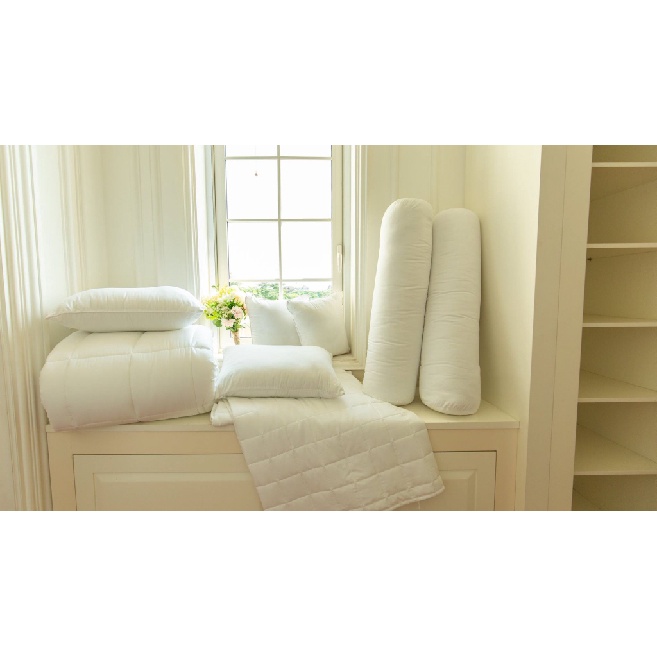Ruột gối Elan