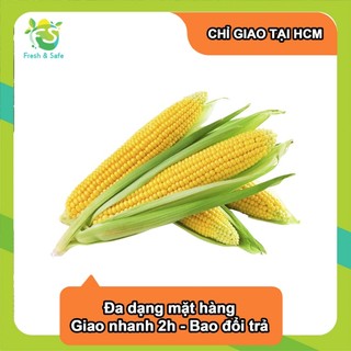 [Chỉ Giao HCM] Bắp Mỹ - 1 trái