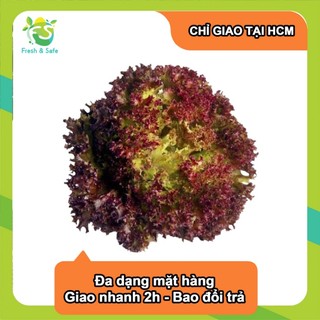 [Chỉ Giao HCM] Xà Lách Lolo Tím - 150g